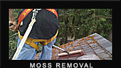 Burnaby Moss Removal and surrounding cities